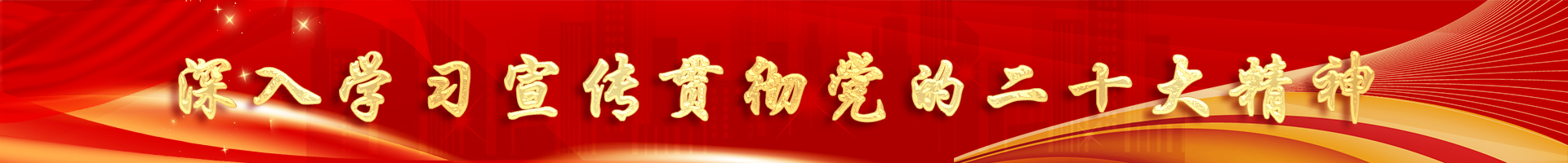 喜迎二十大，奮進(jìn)新征程 